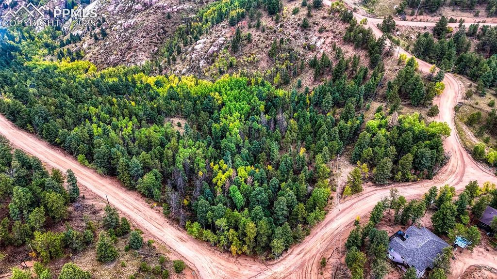 599 Dandy Jim Drive, Cripple Creek, CO 80813 — photo 4