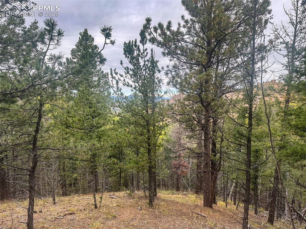 599 Dandy Jim Drive, Cripple Creek, CO 80813 — photo 5