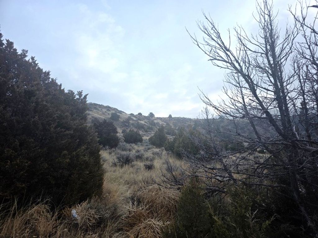 TBD Pole Gulch Road, Three Forks, MT 59752 photo 8