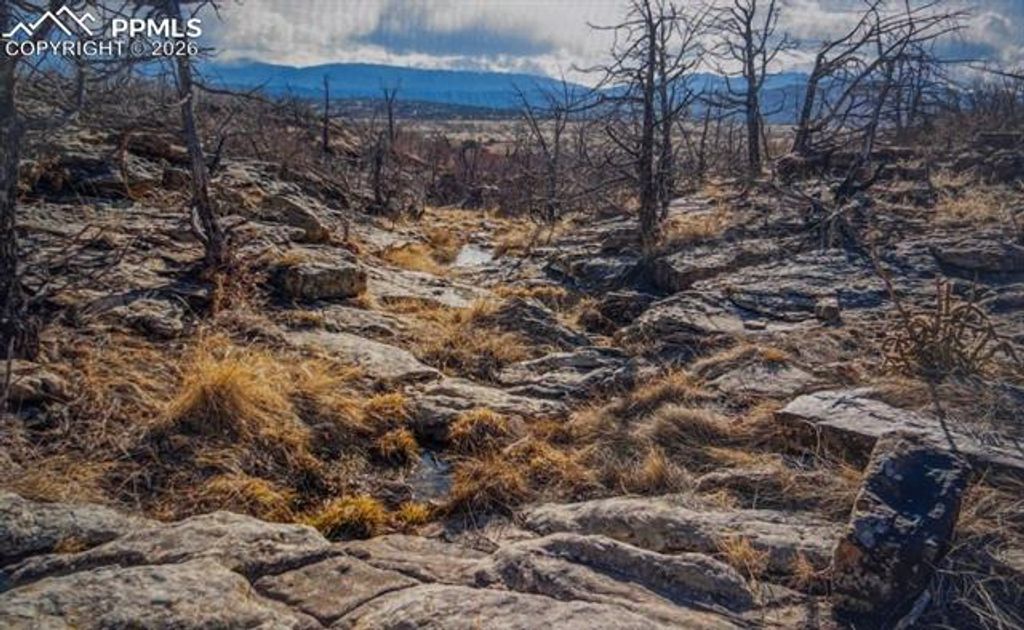 LOT 73 Cedar Grove Road, Beulah, CO 81023 — photo 5