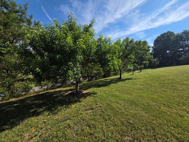 958 New Forest Road, Young Harris, GA 30582