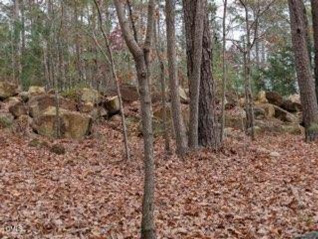 1416 Jack Bennett Road, Chapel Hill, NC 27517