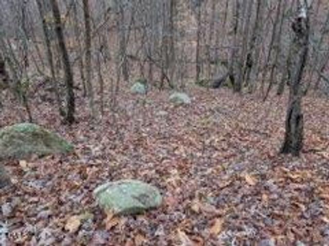 1416 Jack Bennett Road, Chapel Hill, NC 27517