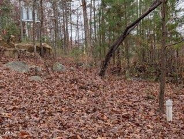1416 Jack Bennett Road, Chapel Hill, NC 27517
