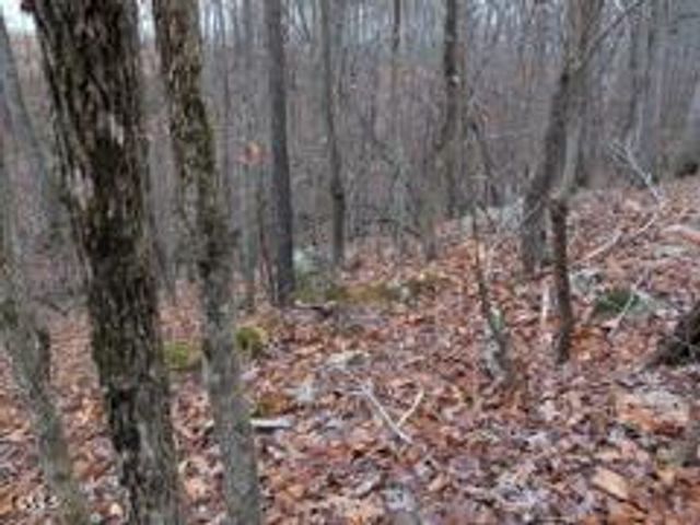 1416 Jack Bennett Road, Chapel Hill, NC 27517