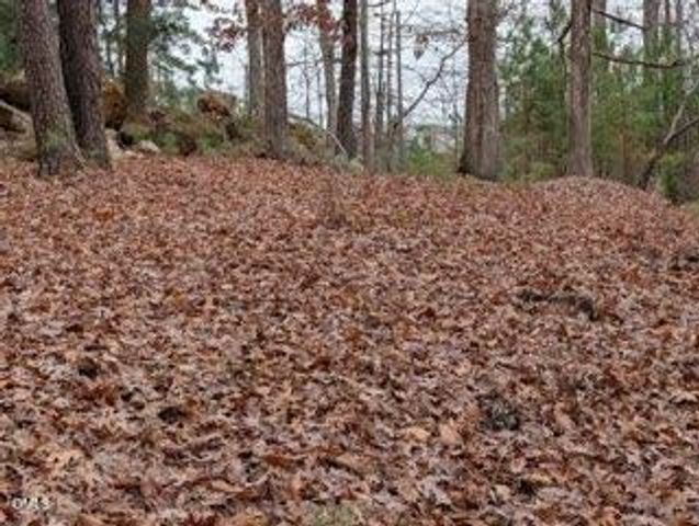 1416 Jack Bennett Road, Chapel Hill, NC 27517