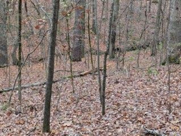 1416 Jack Bennett Road, Chapel Hill, NC 27517