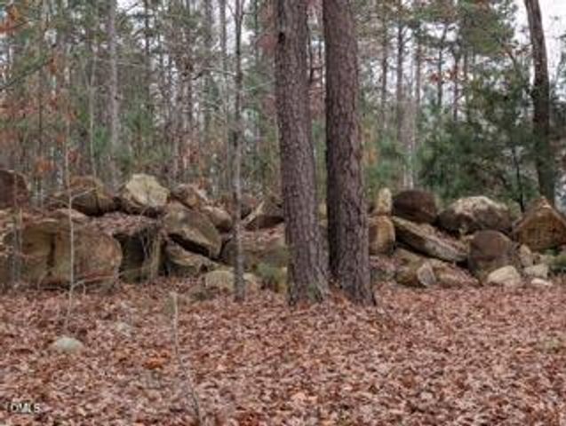 1416 Jack Bennett Road, Chapel Hill, NC 27517