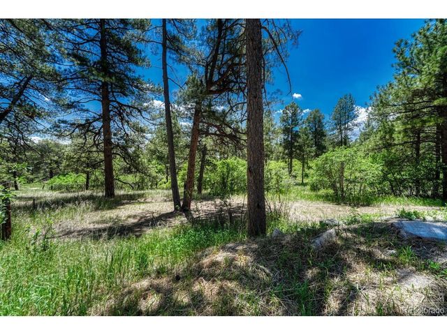 9306 S Curtis Rd, Larkspur, CO 80118