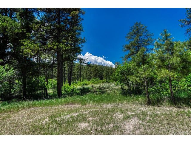 9306 S Curtis Rd, Larkspur, CO 80118