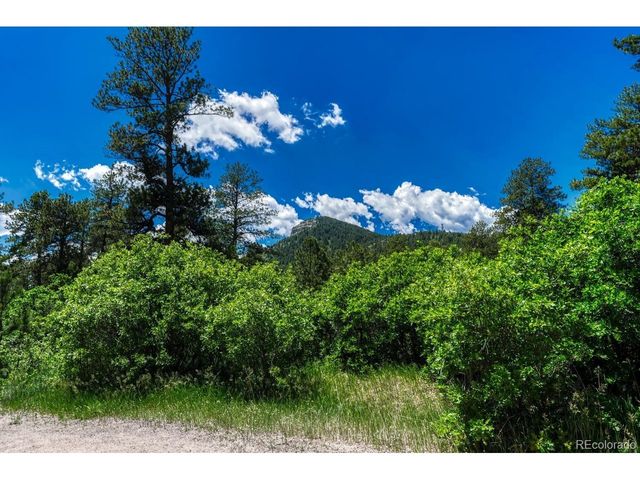 9306 S Curtis Rd, Larkspur, CO 80118
