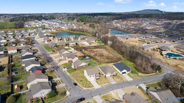 30043 Abbeywood Lane, Harvest, AL 35749