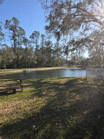 35138 MEADOW REACH DRIVE, Zephyrhills, FL 33541