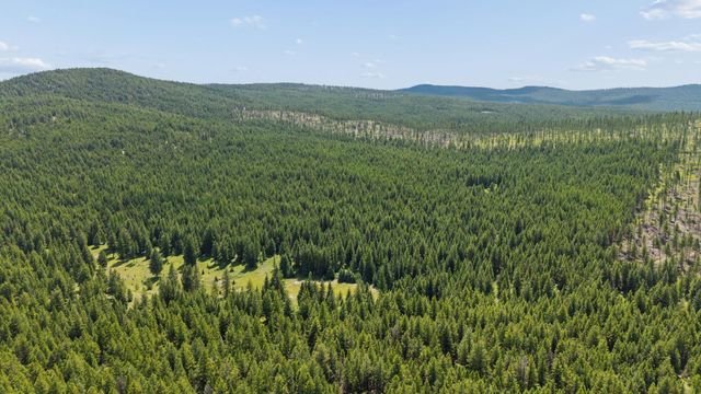 554 Pinkham Road, Rexford, MT 59930