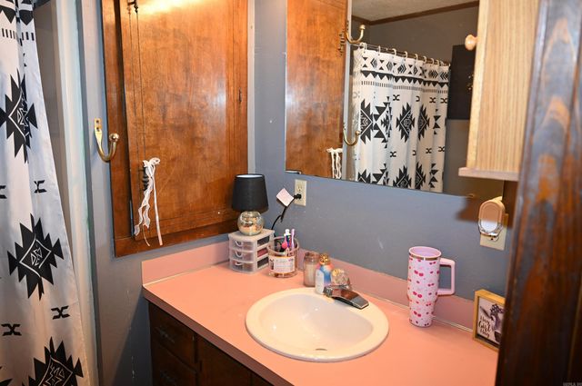 20 Wheeler Lane, Conway, AR 72032