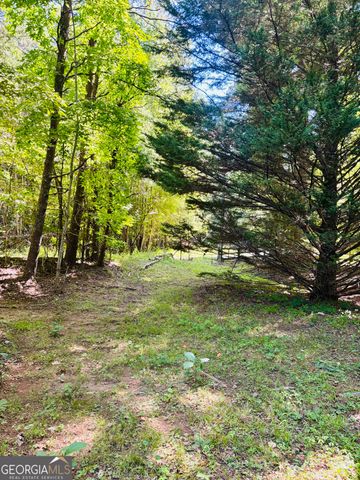 95 Hill Crest Court, Cleveland, GA 30528