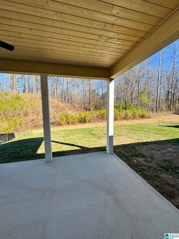 2497 MURPHY PASS, Hoover, AL 35244