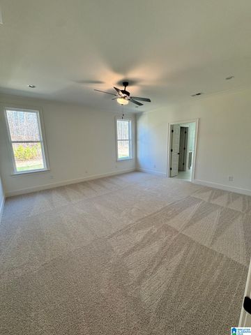 2497 MURPHY PASS, Hoover, AL 35244