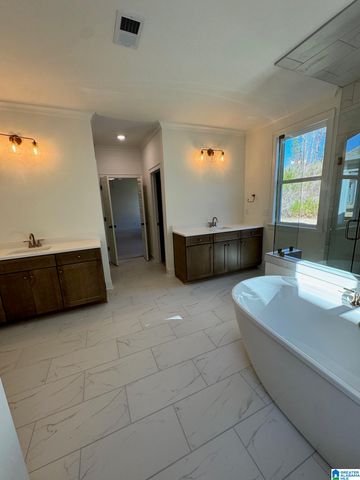 2497 MURPHY PASS, Hoover, AL 35244