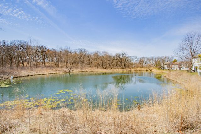 1217 N Village Drive, Round Lake Beach, IL 60073