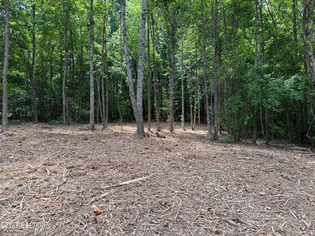 0 Bunch Lane, Clinton, TN 37716