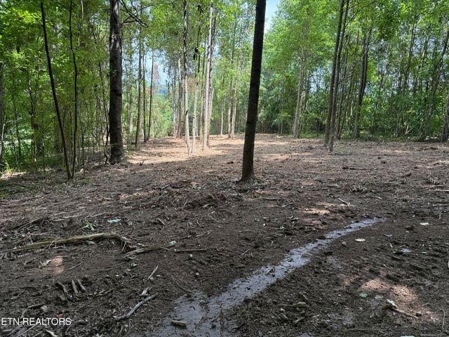 0 Bunch Lane, Clinton, TN 37716