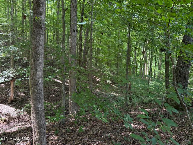 0 Bunch Lane, Clinton, TN 37716