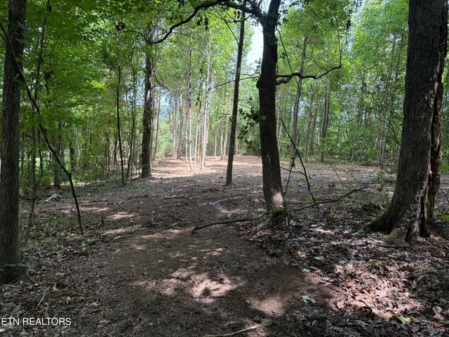 0 Bunch Lane, Clinton, TN 37716