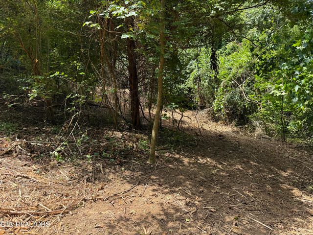 0 Bunch Lane, Clinton, TN 37716