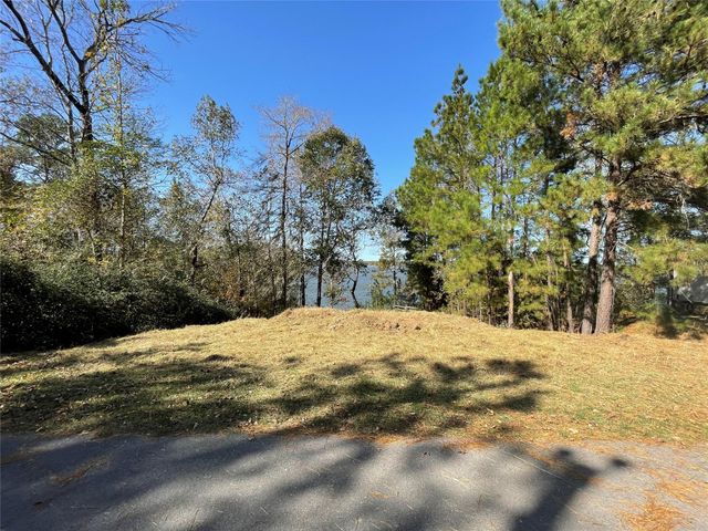 TBD Ridgewood Trail, Trinity, TX 75862