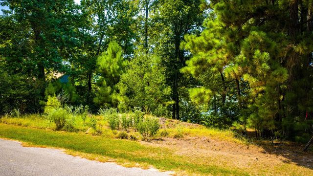 TBD Ridgewood Trail, Trinity, TX 75862