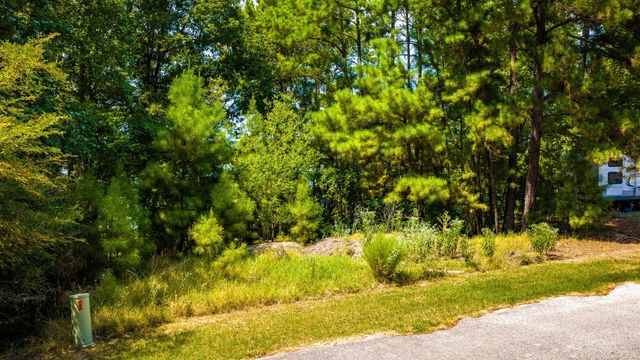 TBD Ridgewood Trail, Trinity, TX 75862