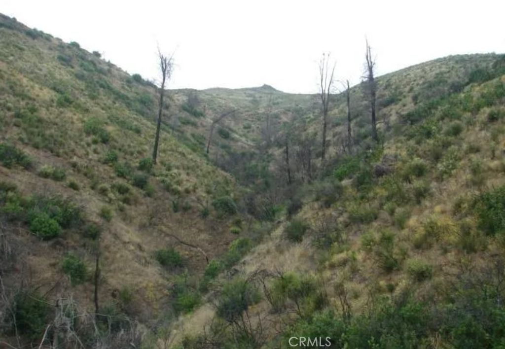 Image 6 of property listing at 18524 Bartlett Springs Road, Lucerne, CA 95458
