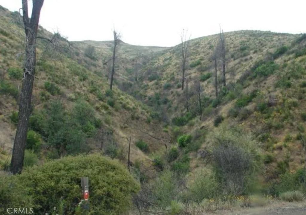 Image 7 of property listing at 18524 Bartlett Springs Road, Lucerne, CA 95458