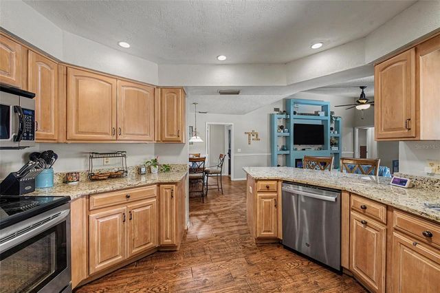 3916 BROOMSEDGE LANE, Valrico, FL 33596