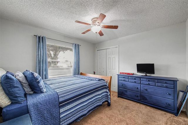 3916 BROOMSEDGE LANE, Valrico, FL 33596