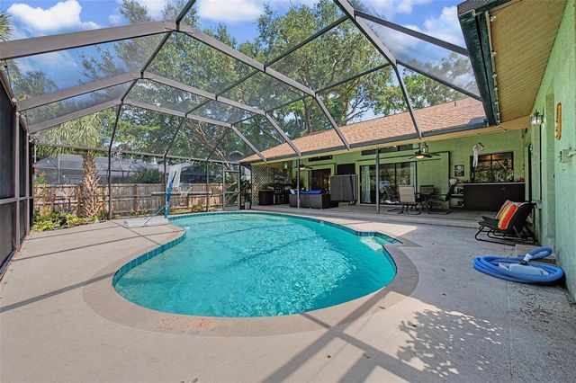 3916 BROOMSEDGE LANE, Valrico, FL 33596