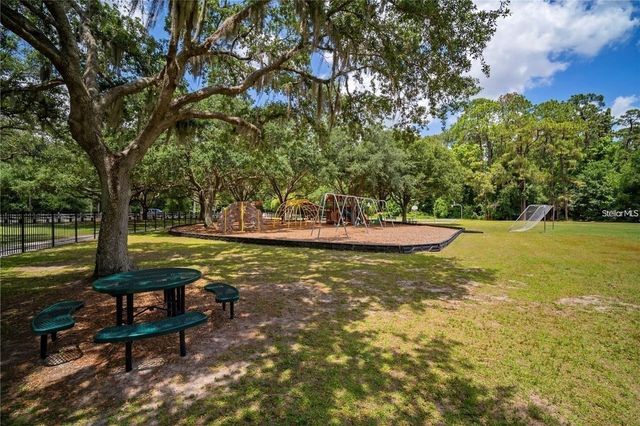 3916 BROOMSEDGE LANE, Valrico, FL 33596