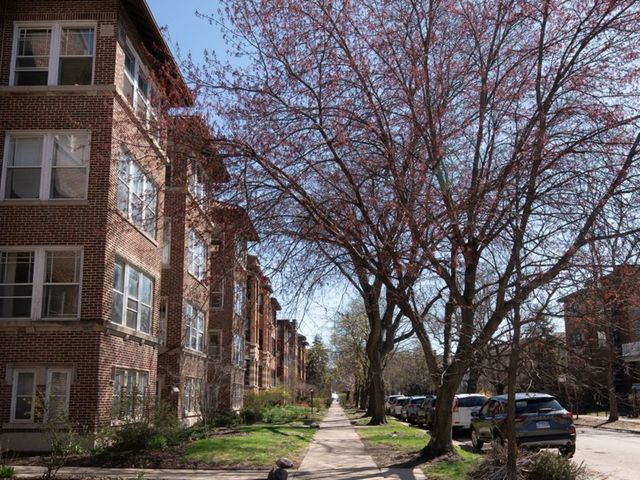 1260 W Columbia Avenue 2, Chicago, IL 60626