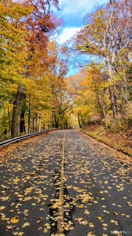 63 Park Road, Hamden, CT 06517