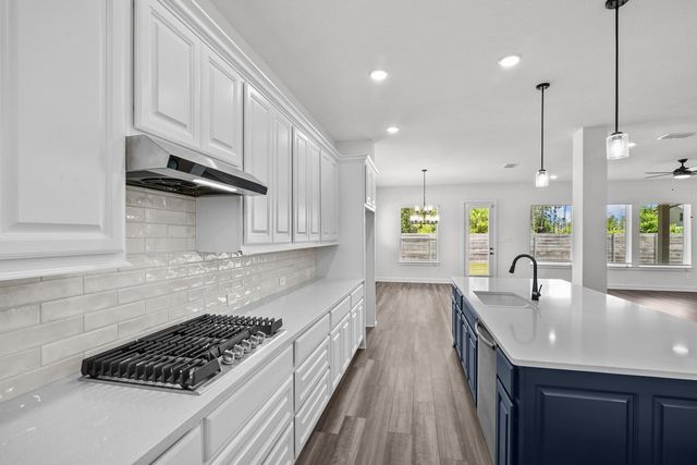 17007 Sweet Iris Court, Conroe, TX 77302