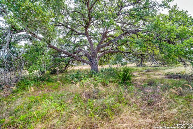 34764 CASITA CREEK LN, Bulverde, TX 78163