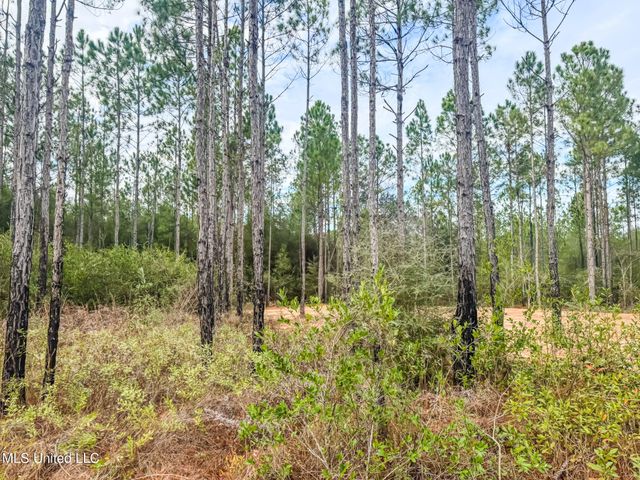 13125 Seaman Road, Vancleave, MS 39565