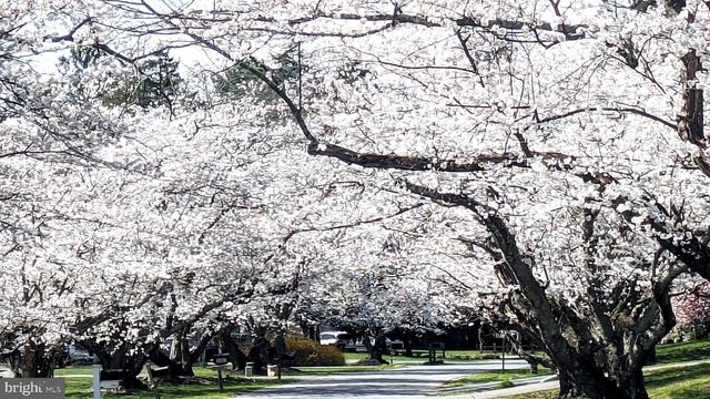 3619 KING WILLIAM DR, Olney, MD 20832