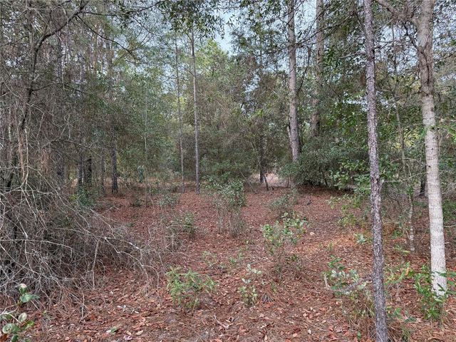 TBD SE AUDUBON AVENUE, Dunnellon, FL 34431