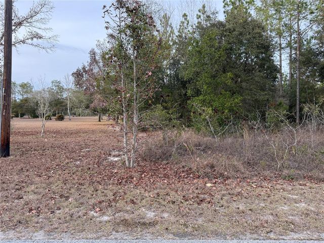 TBD SE AUDUBON AVENUE, Dunnellon, FL 34431