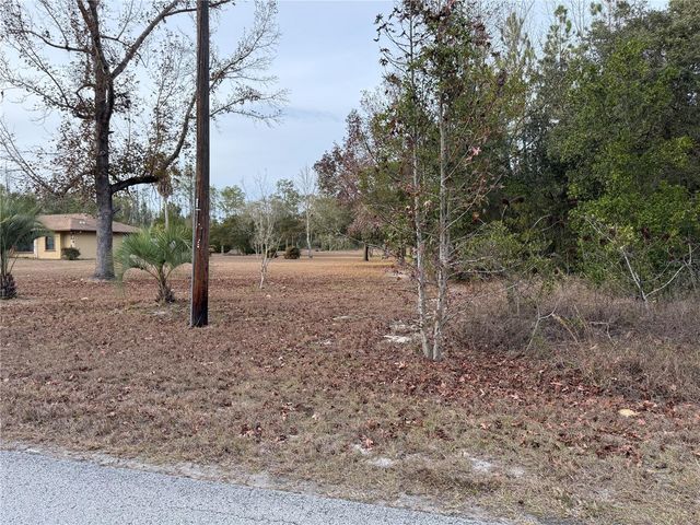 TBD SE AUDUBON AVENUE, Dunnellon, FL 34431
