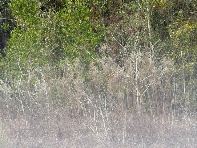 TBD SE AUDUBON AVENUE, Dunnellon, FL 34431