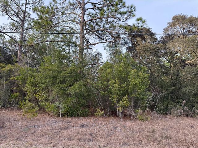 TBD SE AUDUBON AVENUE, Dunnellon, FL 34431