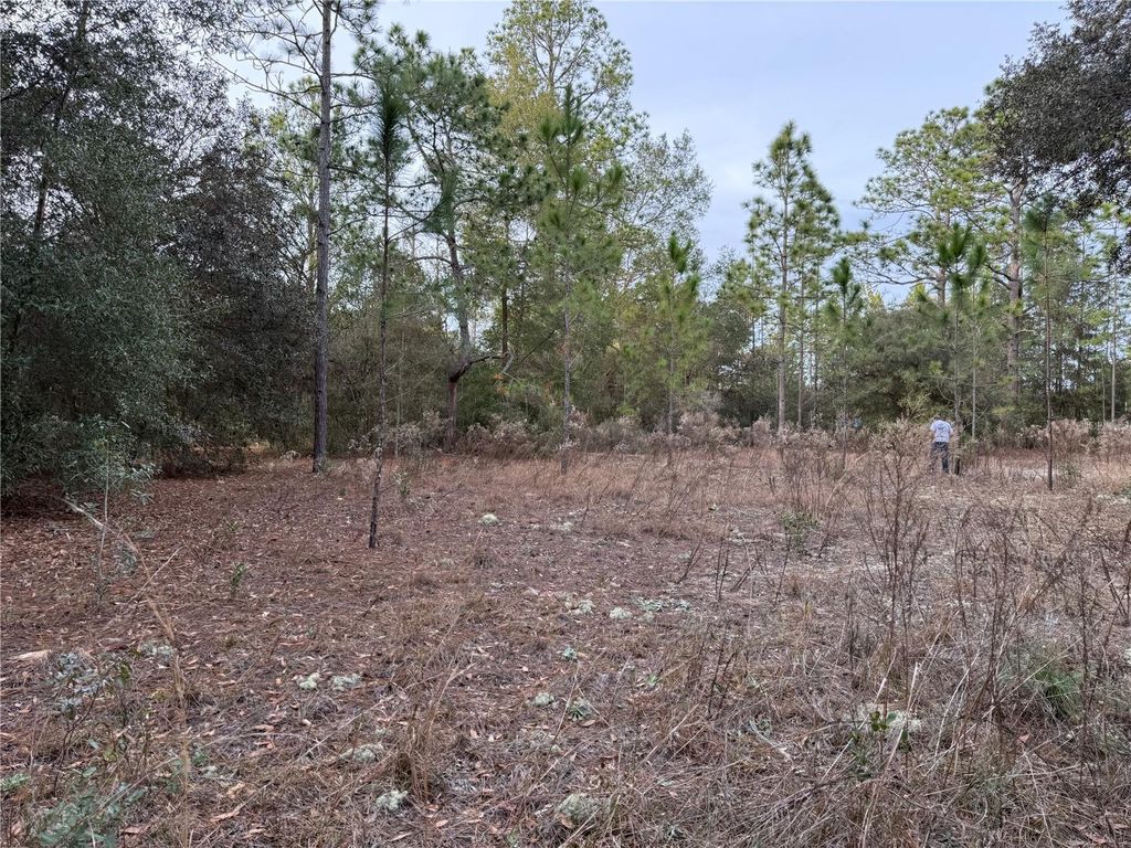 TBD SE AUDUBON AVENUE, Dunnellon, FL 34431
